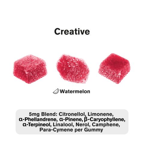Terpene Gummies - 10mg - Creative - Watermelon - Terps Gummies - Thumbnail 3
