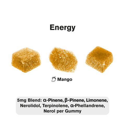 Terpene Gummies - 10mg - Energy - Mango - Terps Gummies - Thumbnail 4
