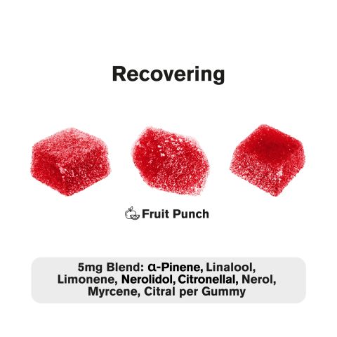 Terpene Gummies - 10mg - Recovering - Fruit Punch - Terps Gummies - Thumbnail 4
