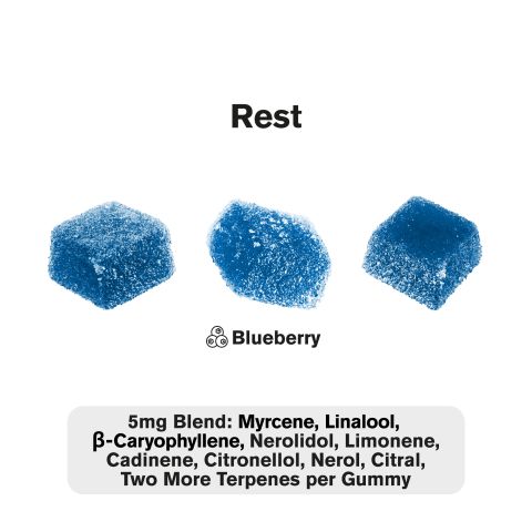 Terpene Gummies - 10mg - Rest - Blueberry - Terps Gummies - Thumbnail 4