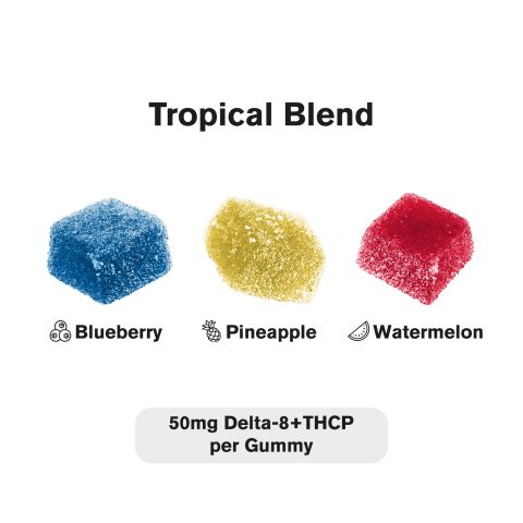 THCP, D8 Gummies - 50mg - Tropical - Fresh - Thumbnail 4