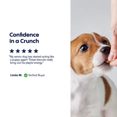 Bone Marrow Chews - CBD Dog Treats - 300mg - MediPets - Thumbnail 6