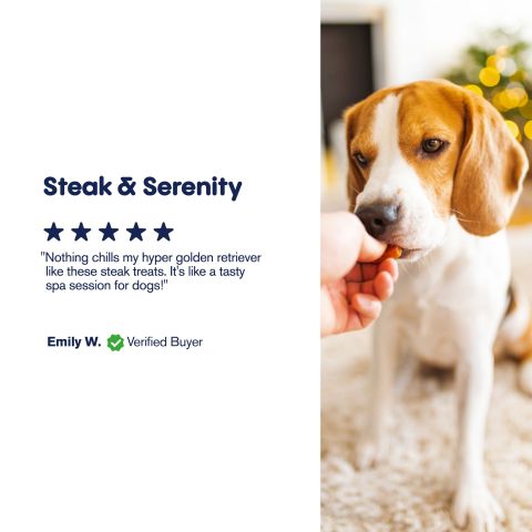 Grilled Steak - CBD Dog Treats - 500mg - MediPets - Thumbnail 6