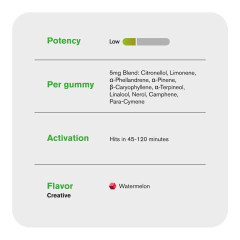 Terpene Gummies - 10mg - Creative - Watermelon - Terps Gummies - Thumbnail 5
