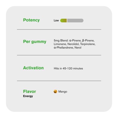 Terpene Gummies - 10mg - Energy - Mango - Terps Gummies - Thumbnail 5