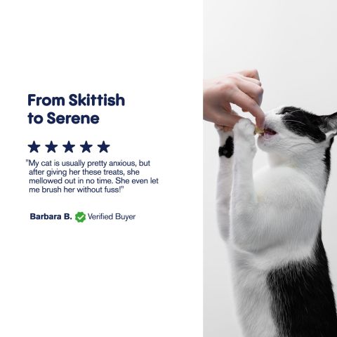 MediPets CBD Cat Treats - Cat Cafe´ Tartar Control - 200mg - Thumbnail 6