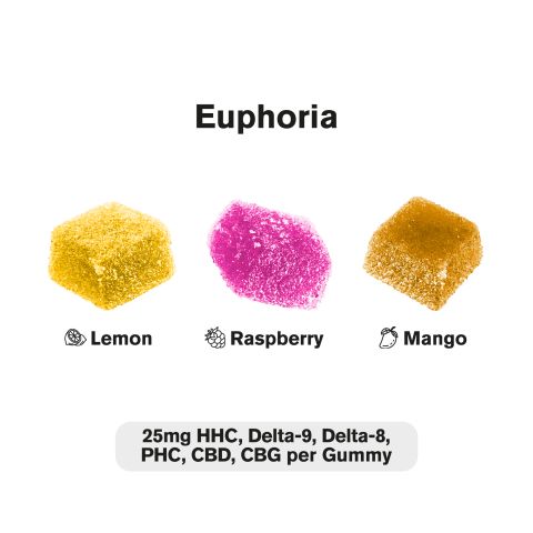 Euphoria Blend - D8, D9, HHC, CBD Isolate, CBG, PHC - 25mg - Blends by Fresh - Thumbnail 4
