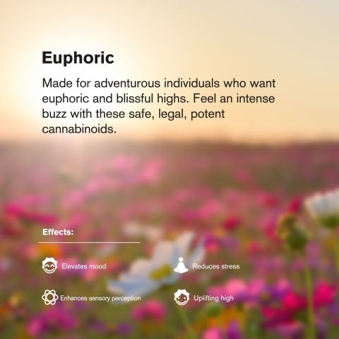 Euphoria Blend - D8, D9, HHC, CBD Isolate, CBG, PHC - 25mg - Blends by Fresh - Thumbnail 6