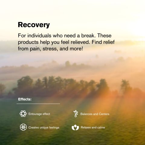 Recovery Blend - 2000mg - Indica Vape Pen - 2ml - Blends by Fresh - Thumbnail 6