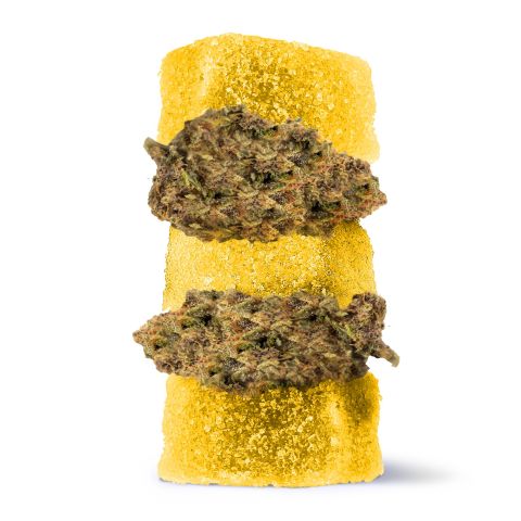 Delta 8 + Live Resin Gummies - 50mg - Super Lemon Haze - Sativa - Thumbnail 1