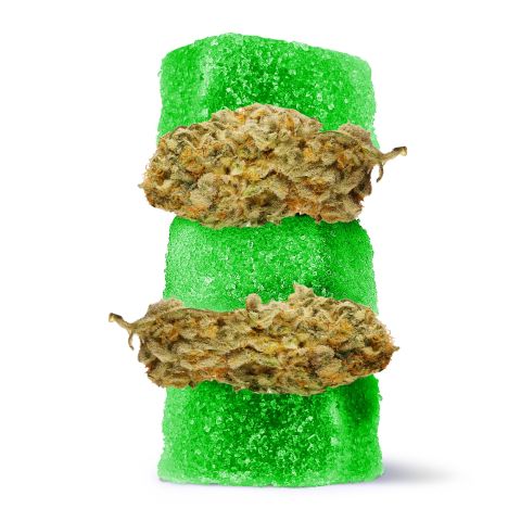 Delta 8 + Live Resin Gummies - 100mg - Jack Herer - Sativa - Thumbnail 1