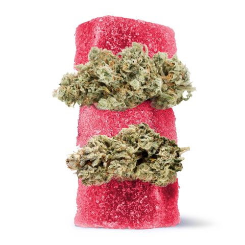 Delta 8 + Live Resin Gummies - 250mg - GG4 - Hybrid - Thumbnail 1