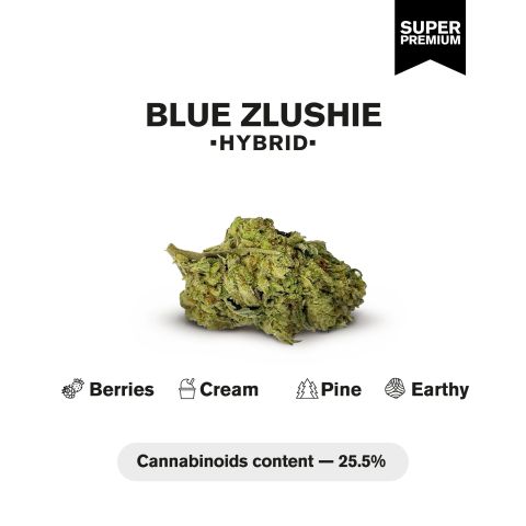 Blue Zlushie Flower - Hybrid - THCA - Thumbnail 4