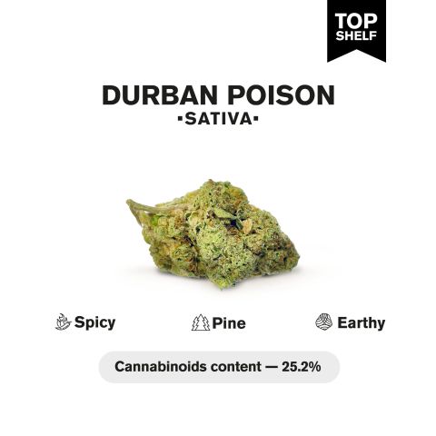 Durban Poison Flower - Sativa - THCA - Thumbnail 5