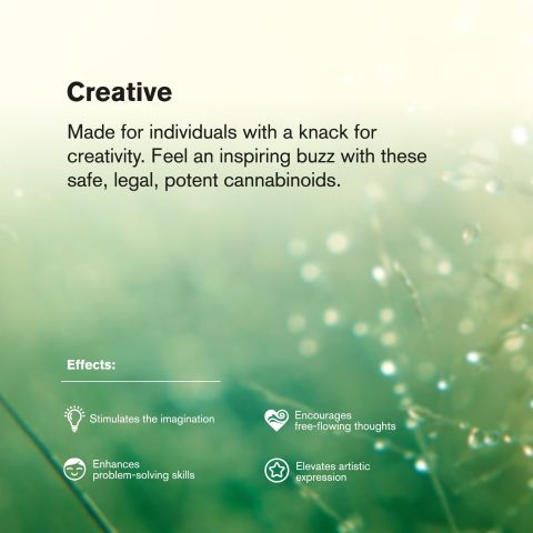 Durban Poison Flower - Sativa - THCA - Thumbnail 7