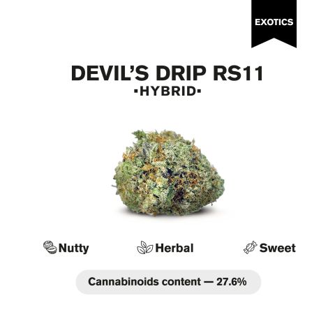 Devil's Drip RS11 Flower - Hybrid - THCA - Thumbnail 4