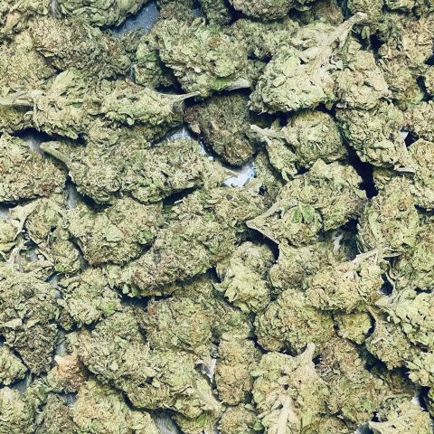 Alien Cookies Flower - Hybrid - THCA - Thumbnail 3