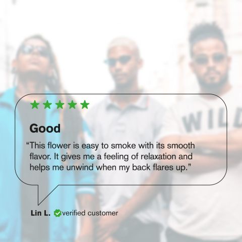 Gush Mintz Flower - Indica - THCA - Thumbnail 6