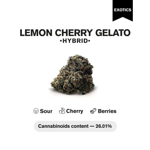 Lemon Cherry Gelato Flower - Hybrid - THCA - Thumbnail 4