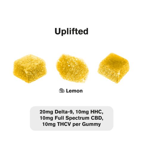 50mg Uplifted Gummies - D9, HHC, Full Spectrum CBD, THCV - Chill Plus - Thumbnail 4