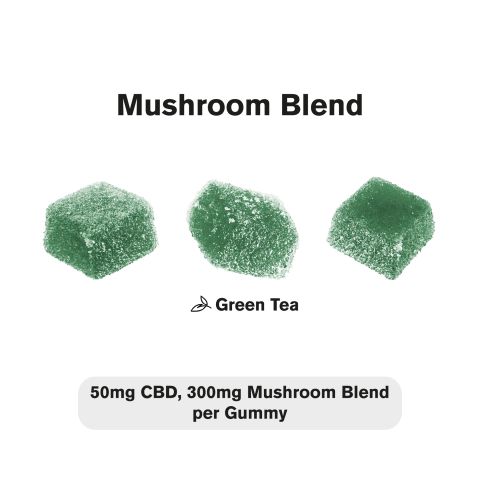 CBD, Mushroom Gummies - 50mg - Chill - Thumbnail 4