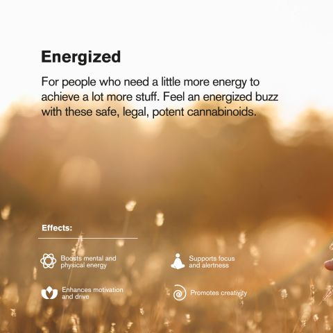 D10, D8 Gummies - 50mg - Tropical Mix - Hyper - Thumbnail 6