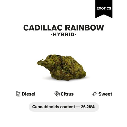 Cadillac Rainbow Flower - Hybrid - THCA - Thumbnail 4