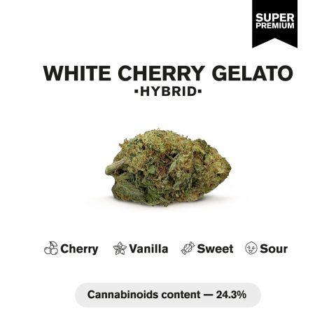 White Cherry Gelato Flower - Hybrid - THCA - Thumbnail 4