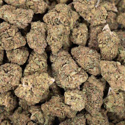 Pink Rosay Flower - Indica - THCA - Thumbnail 3