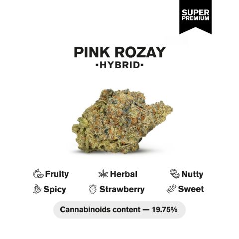 Pink Rosay Flower - Indica - THCA - Thumbnail 5
