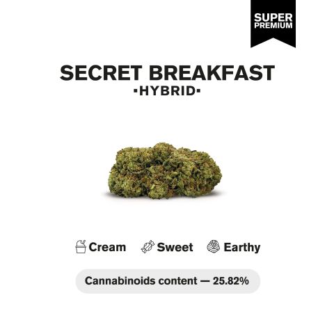 Secret Breakfast Flower - Hybrid - THCA - Thumbnail 4