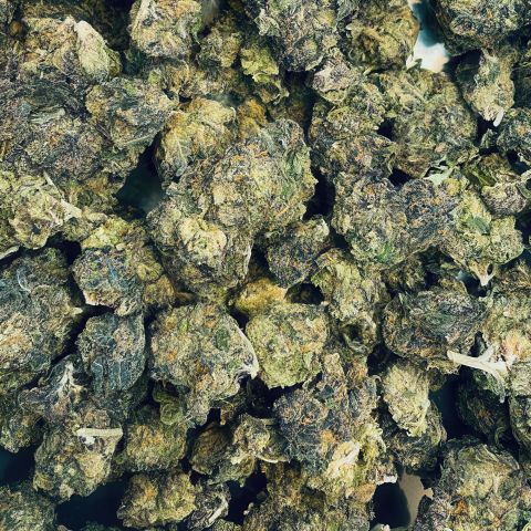 Gushers Flower - Hybrid - THCA - Thumbnail 3