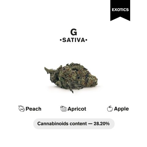 G Flower - Sativa - THCA - Thumbnail 4