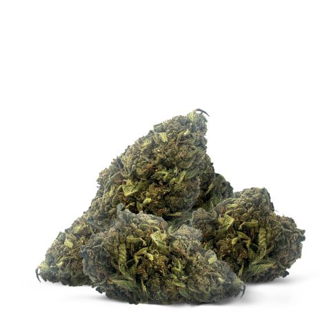 Purple Star Diesel Flower - Hybrid - THCA - Thumbnail 2