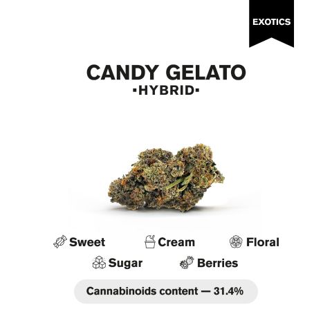 Candy Gelato Flower - Hybrid - THCA - Thumbnail 4