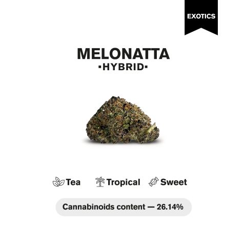 Melonatta Flower - Hybrid - THCA - Thumbnail 4