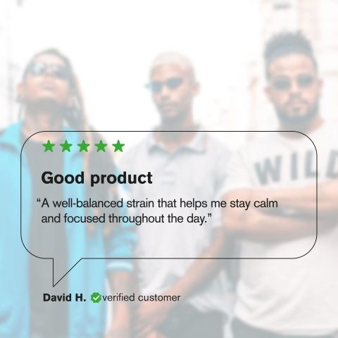 Melonatta Flower - Hybrid - THCA - Thumbnail 7