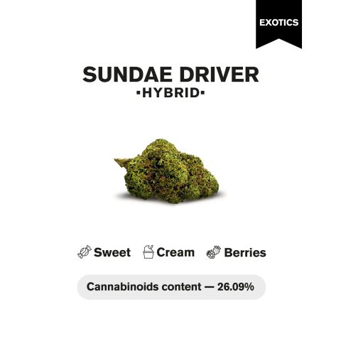 Sundae Driver Flower - Hybrid - THCA - Thumbnail 4