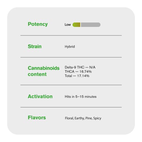 Illuminati Flower - Hybrid - THCA - Thumbnail 5