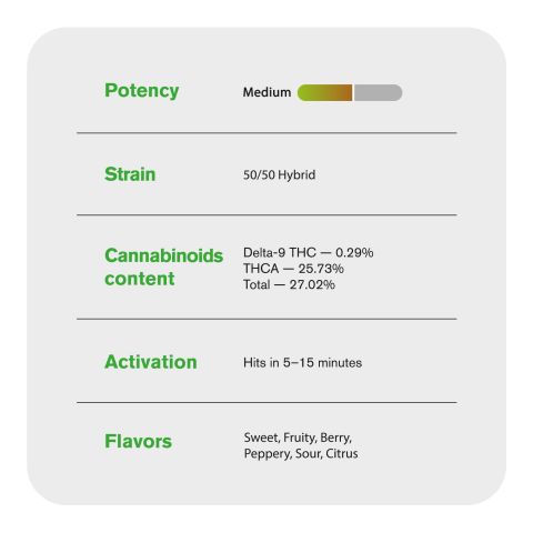 Jet Fuel Gelato King Size Pre-Roll - 1.5g - THCA - 1 Joint - Chill Plus - Thumbnail 7