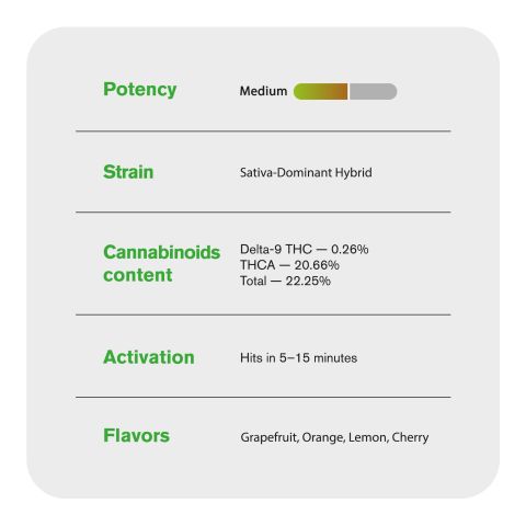 Limoncello Runtz King Size Pre-Roll - 1.5g - THCA - 1 Joint - Chill Plus - Thumbnail 7