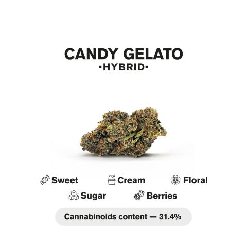 Candy Gelato King Size Pre-Roll - 1.5g - THCA - 1 Joint - Chill Plus - Thumbnail 5