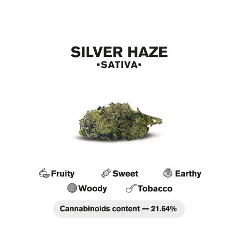 Silver Haze Mini Pre-Rolls - 0.5g - THCA - 5 Joints - Chill Plus - Thumbnail 5