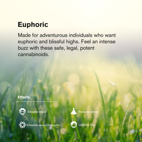 Wedding Cake King Size Pre-Roll - 1.5g - THCA - Chill Plus 1 Joint - Thumbnail 8