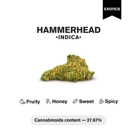 Hammerhead Flower - Indica - THCA - Thumbnail 4