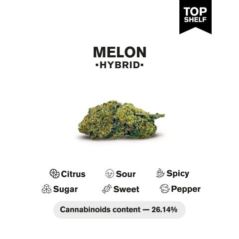 Melon Flower - Hybrid - THCA - Thumbnail 4