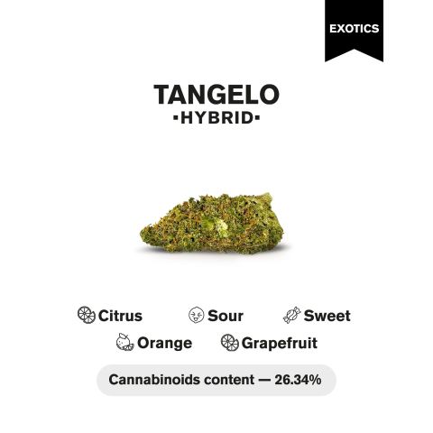 Tangelo Flower - Hybrid - THCA - Thumbnail 4