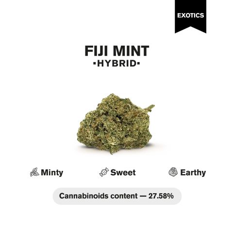 Fiji Mint Flower - Hybrid - THCA - Thumbnail 4
