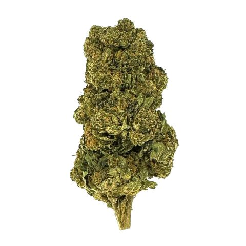 Black Cherry Gelato Flower - Indica - THCA - Thumbnail 1