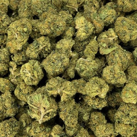 Black Cherry Gelato Flower - Indica - THCA - Thumbnail 3